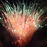 Fancy Aerial Cakes Cracker