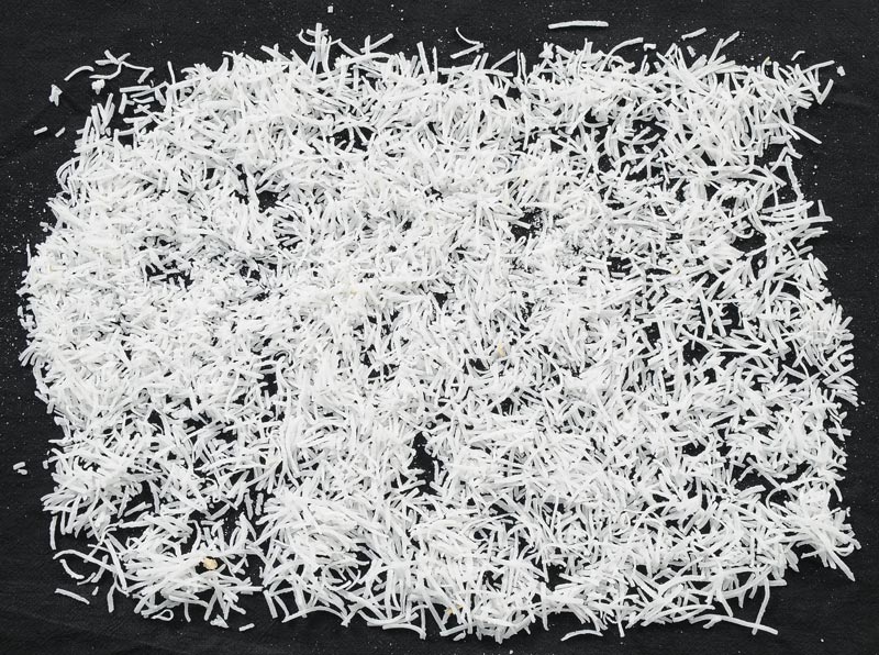 Desiccated Coconut Flakes 