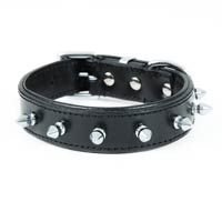 Dog Collars 01
