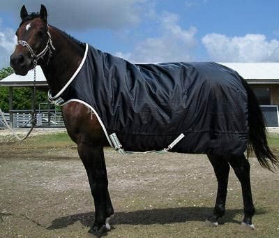 Horse Rug 02