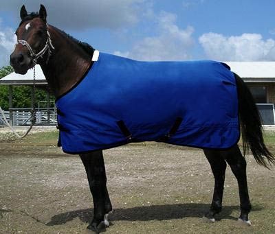 Horse Rug 03