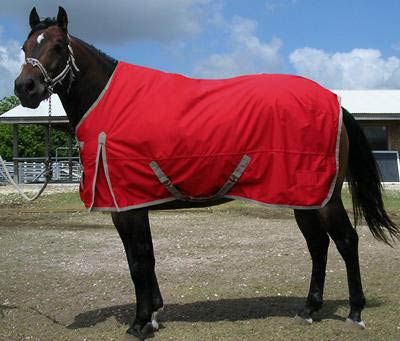 Horse Rug 04
