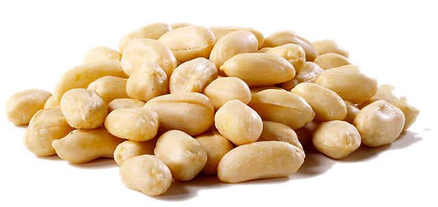 Peanut Kernels 01