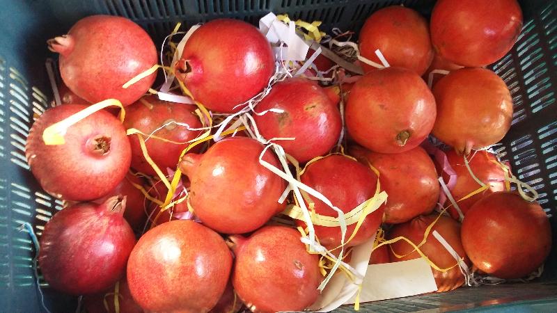 Fresh Pomegranate 01