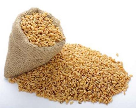 Wheat Seeds