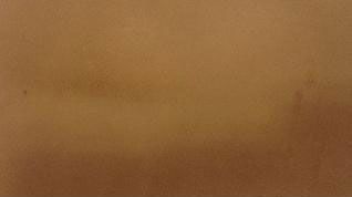 Brown Cow Nappa Leather