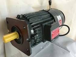 Lift Duty Motor in C.I. Construction