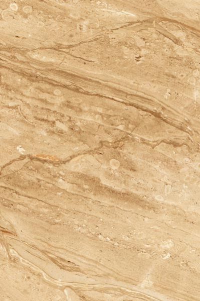 Dahino Beige CW265IZK70 