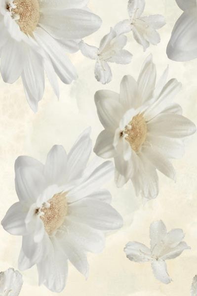 Onix-Crystal- HL - B