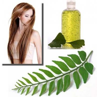 Neem Tea Tree & Basil Hair Oil