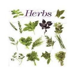 Herbal Leaves