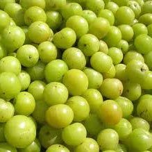 Fresh Amla