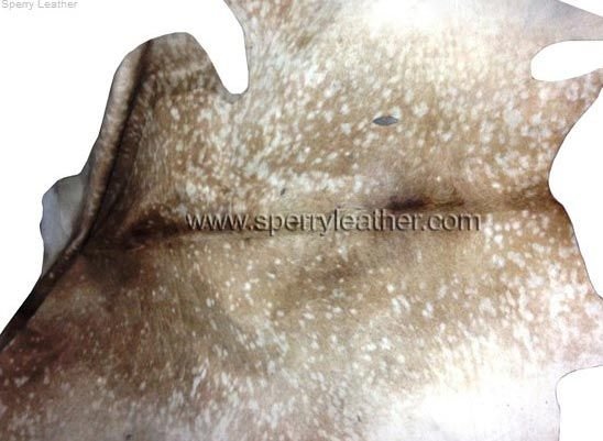 Item Code : CHL - 03