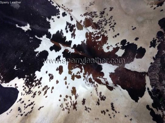 Item Code : CHL - 04