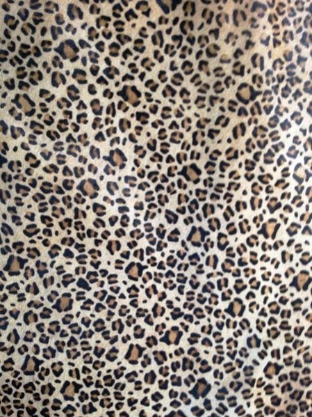 Item Code : CHL - 05