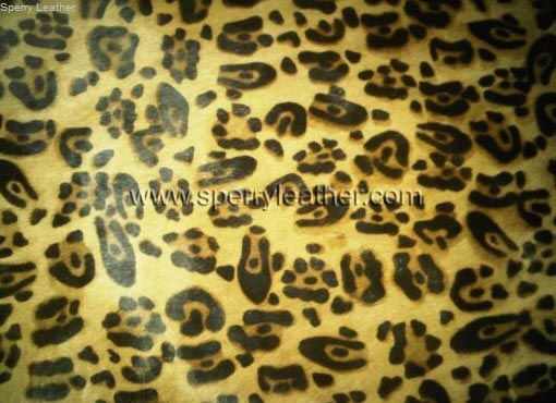 Item Code : PHL - 01