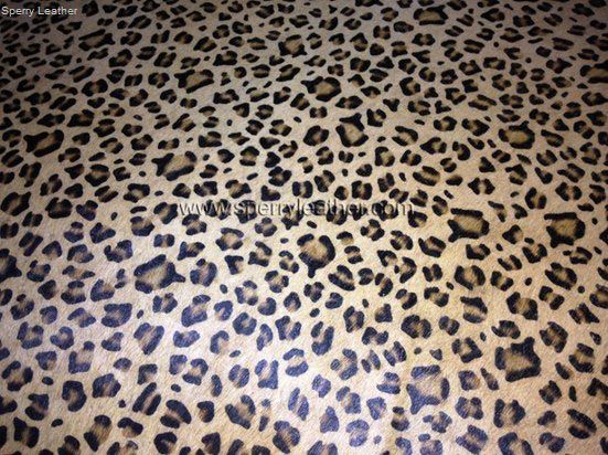 Item Code : PHL - 06