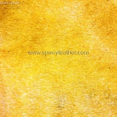 Item Code : SHL - 04