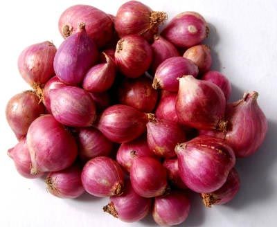 Fresh Small Onion 01
