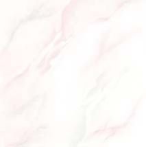 SC1004 -  300 x 300mm Matt White Series Floor Tile