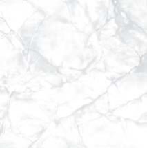 SC1006 - 300 x 300mm Matt White Series Floor Tile