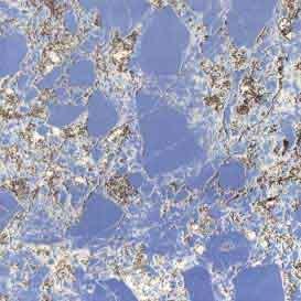 SCVT-111 - 400 x 400mm Vitro Glossy White Series Floor Tile