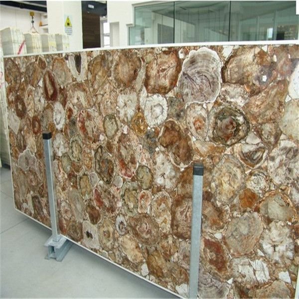 Round Petrified Wood Semi Precious Slab 02