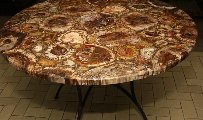 Round Petrified Wood Semi Precious Slab 03