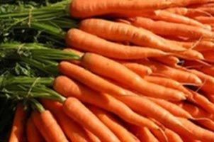 Fresh Carrot
