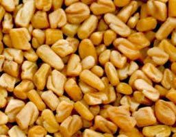 Fenugreek seeds