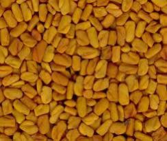 Fenugreek seeds