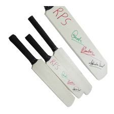 Signature Bat No. 12 SB - 107