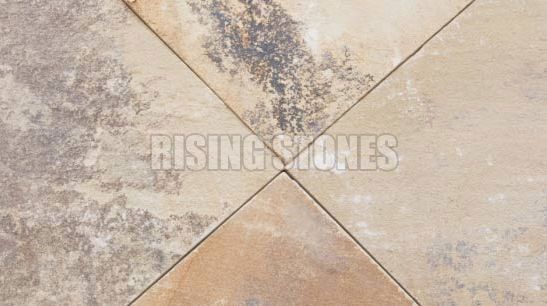 Mint Fossil Sandstone