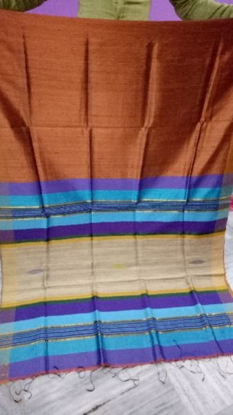 Raw Silk Saree 02