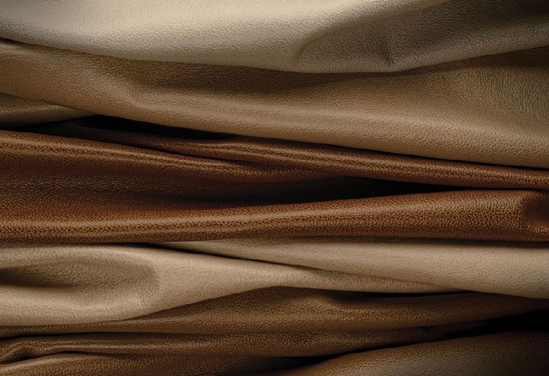 Cow Elegant Finished Leather 02