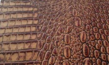 Cow Embossed Finished Leather 03