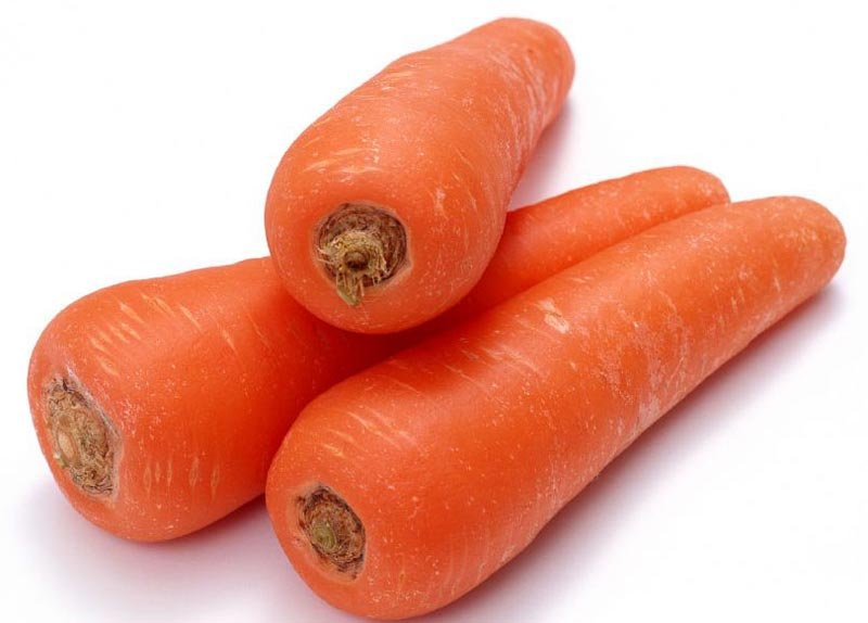 Fresh Carrot