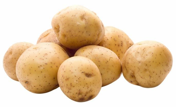 Potato