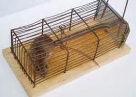 Metal Mouse Trap Cage