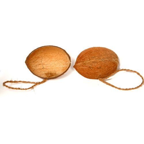 Coconut Shell Bird Feeders