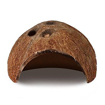 Coconut Shell Hermit Huts