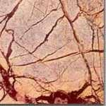 Rain 20% Forest Brown