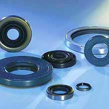 Oil Seals