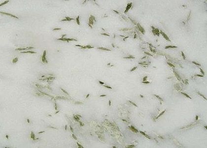 Pista White Marble Slabs 01