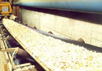 Oil Resistant Conveyor Belts