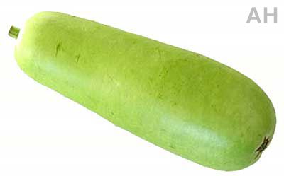 Fresh Bottle Gourd (AH-110022)