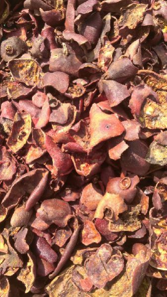 Dried Pomegranate Peel 02