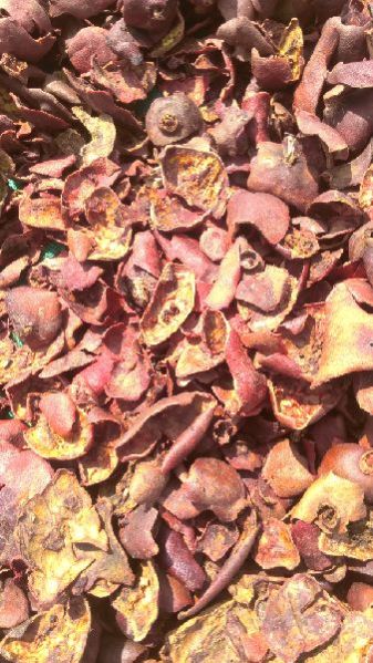 Dried Pomegranate Peel 03