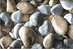 Design No. 8006 Glossy