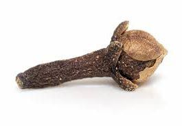 Clove